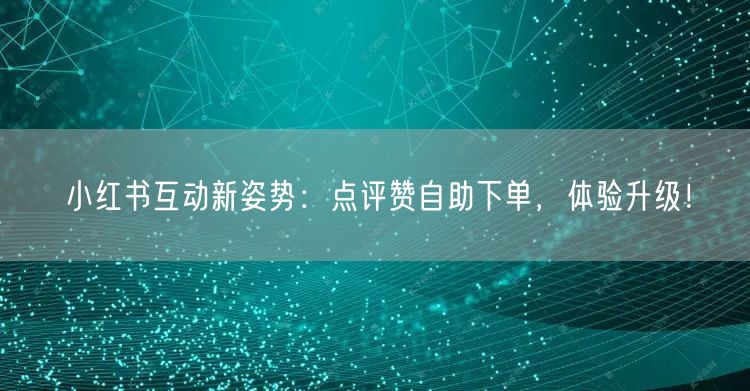 小红书互动新姿势:点评赞自助下单,体验升级!
