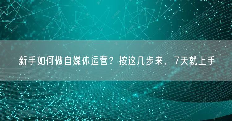 新手如何做自媒体运营?按这几步来,7天就上手