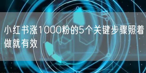 小红书涨1000粉的5个关键步骤照着做就有效