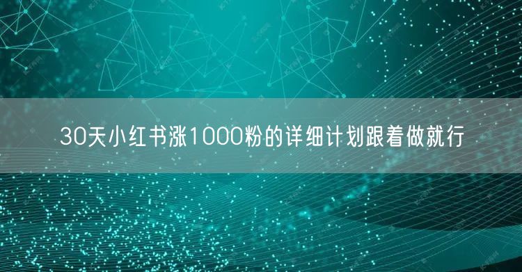 30天小红书涨1000粉的详细计划跟着做就行