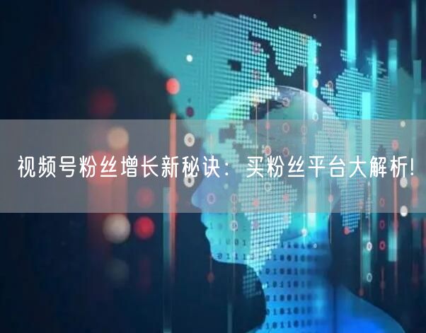 视频号粉丝增长新秘诀:买粉丝平台大解析!