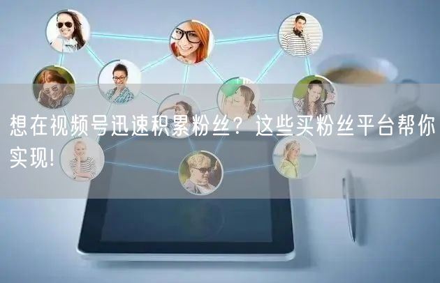 想在视频号迅速积累粉丝？这些买粉丝平台帮你实现!