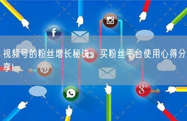 视频号的粉丝增长秘诀:买粉丝平台使用心得分享!