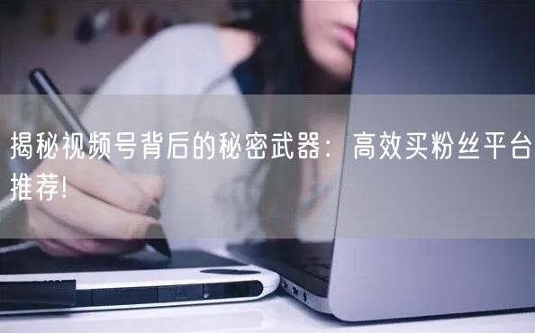 揭秘视频号背后的秘密武器：高效买粉丝平台推荐!