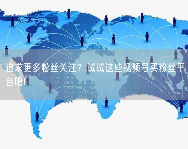 追求更多粉丝关注？试试这些视频号买粉丝平台吧!