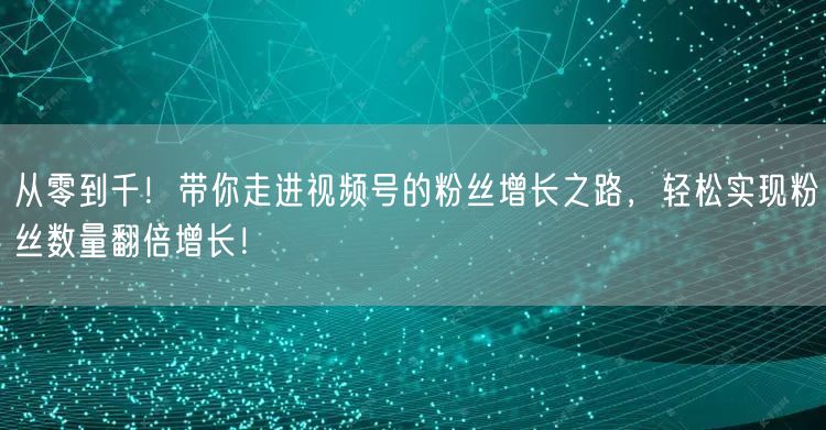 从零到千!带你走进视频号的粉丝增长之路,轻松实现粉丝数量翻倍增长!