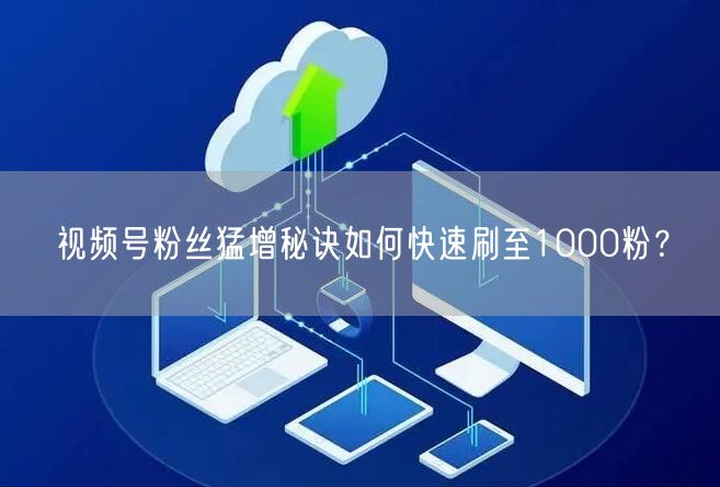视频号粉丝猛增秘诀如何快速刷至1000粉？