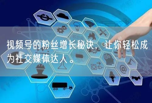视频号的粉丝增长秘诀，让你轻松成为社交媒体达人。