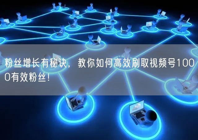 粉丝增长有秘诀，教你如何高效刷取视频号1000有效粉丝！