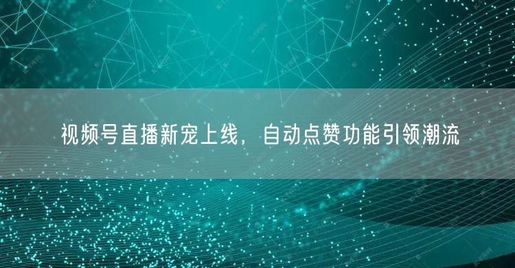 视频号直播新宠上线,自动点赞功能引领潮流