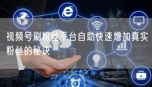 视频号刷粉丝平台自助快速增加真实粉丝的秘诀