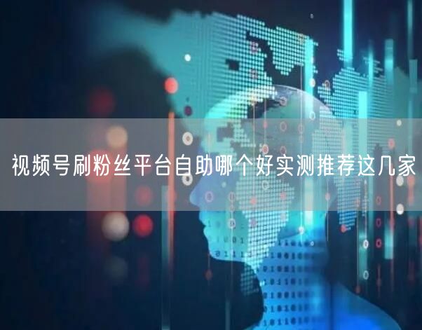 视频号刷粉丝平台自助哪个好实测推荐这几家