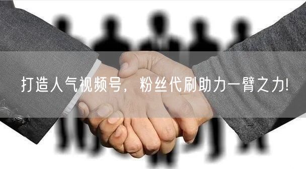 打造人气视频号，粉丝代刷助力一臂之力!