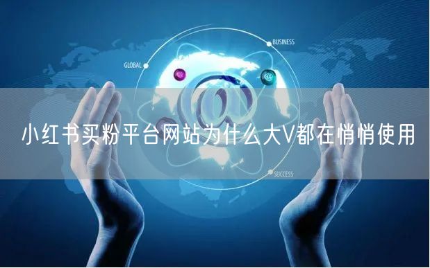小红书买粉平台网站为什么大V都在悄悄使用
