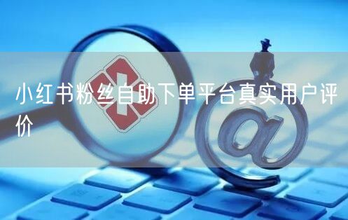 小红书粉丝自助下单平台真实用户评价