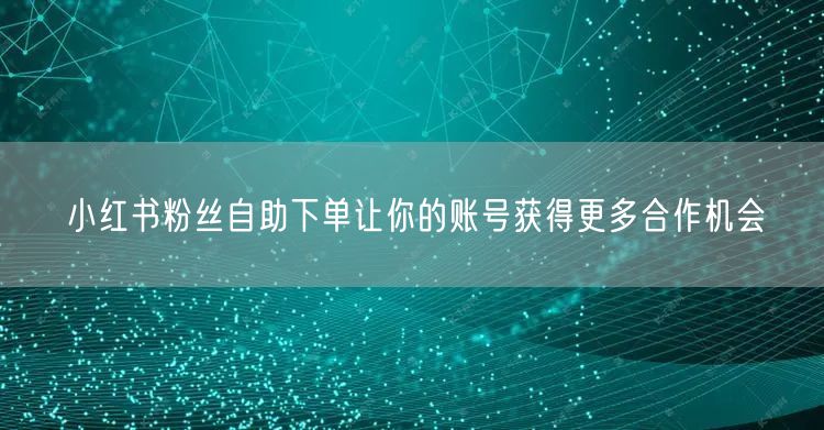 小红书粉丝自助下单让你的账号获得更多合作机会