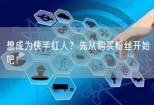 想成为快手红人？先从购买粉丝开始吧！