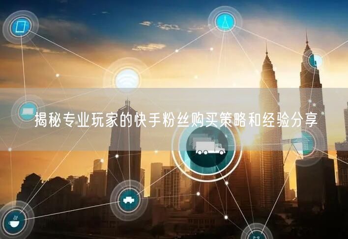揭秘专业玩家的快手粉丝购买策略和经验分享