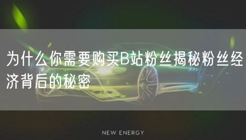 为什么你需要购买B站粉丝揭秘粉丝经济背后的秘密