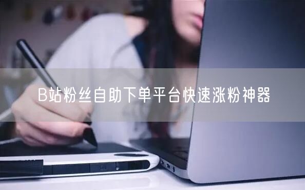 B站粉丝自助下单平台快速涨粉神器