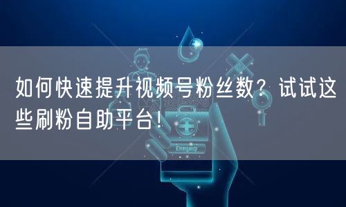 如何快速提升视频号粉丝数?试试这些刷粉自助平台!