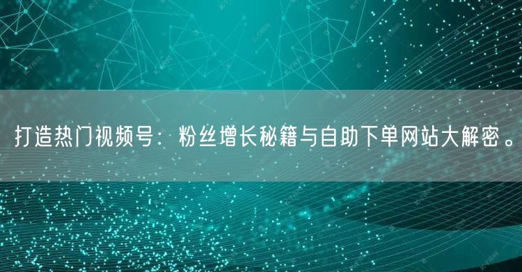 打造热门视频号:粉丝增长秘籍与自助下单网站大解密。