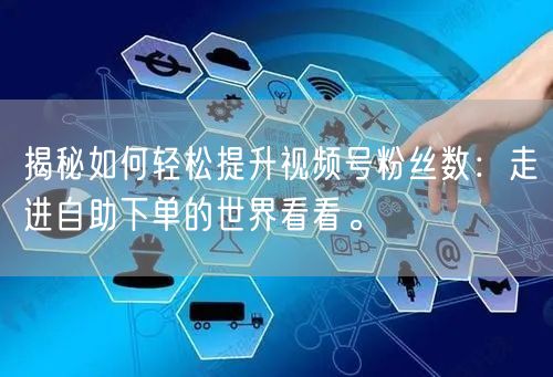 揭秘如何轻松提升视频号粉丝数：走进自助下单的世界看看。
