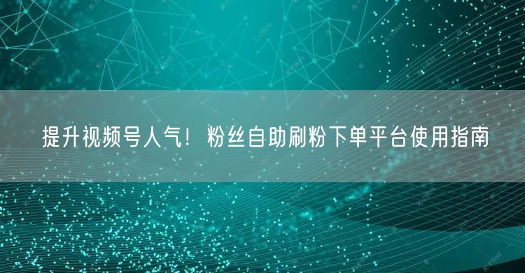 提升视频号人气!粉丝自助刷粉下单平台使用指南
