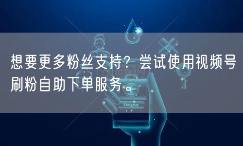 想要更多粉丝支持?尝试使用视频号刷粉自助下单服务。