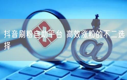 抖音刷粉自助平台 高效涨粉的不二选择