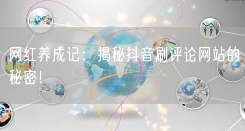 网红养成记：揭秘抖音刷评论网站的秘密！