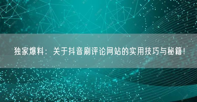 独家爆料：关于抖音刷评论网站的实用技巧与秘籍！