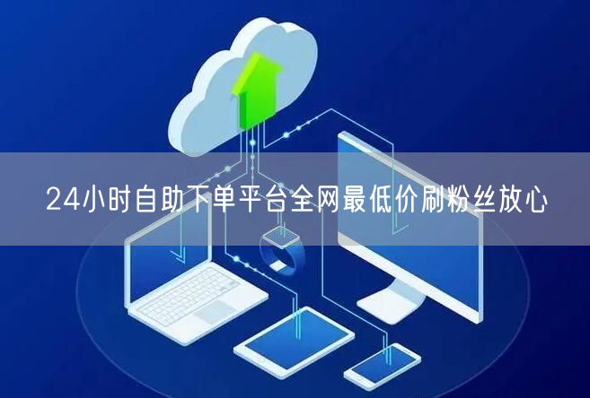 24小时自助下单平台全网最低价刷粉丝放心