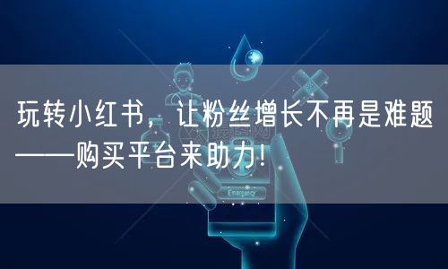 玩转小红书，让粉丝增长不再是难题——购买平台来助力！