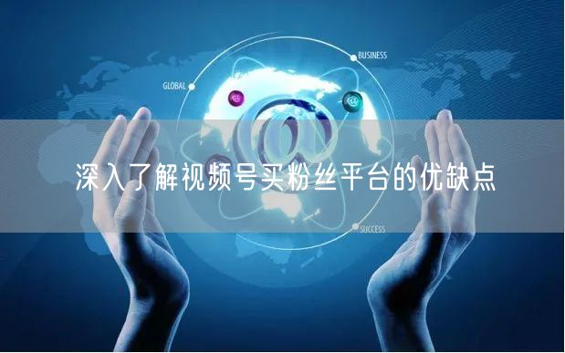 深入了解视频号买粉丝平台的优缺点