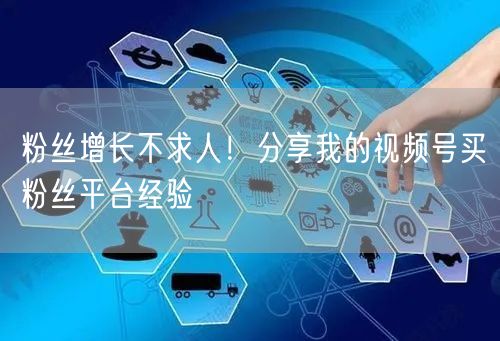 粉丝增长不求人！分享我的视频号买粉丝平台经验