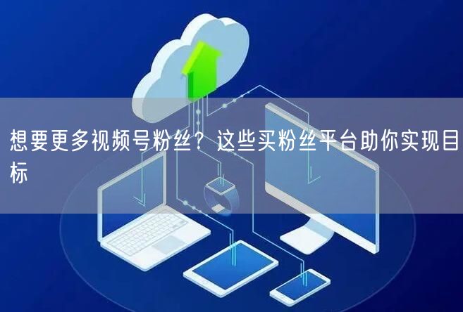 想要更多视频号粉丝？这些买粉丝平台助你实现目标