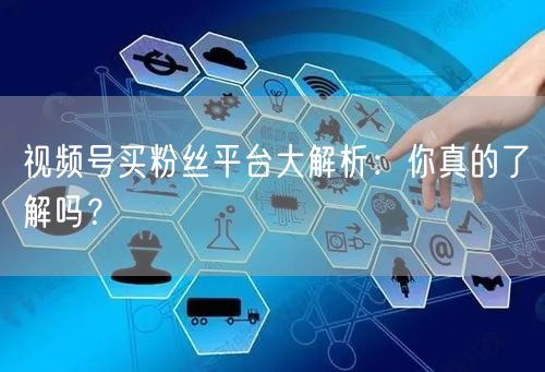视频号买粉丝平台大解析：你真的了解吗？