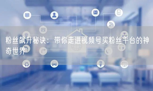 粉丝飙升秘诀：带你走进视频号买粉丝平台的神奇世界