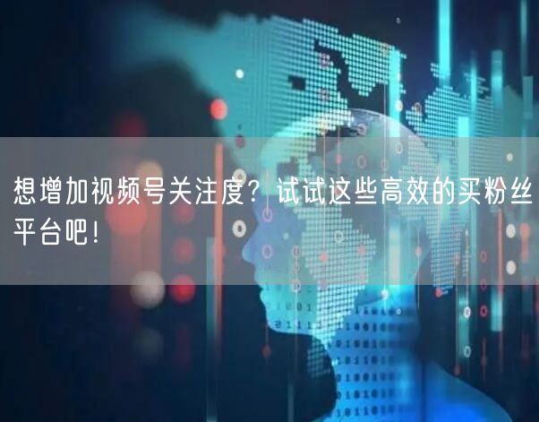想增加视频号关注度？试试这些高效的买粉丝平台吧！