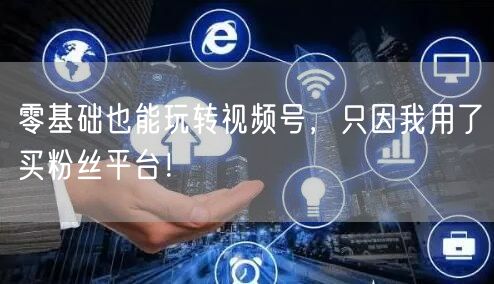 零基础也能玩转视频号，只因我用了买粉丝平台！