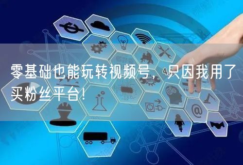 零基础也能玩转视频号，只因我用了买粉丝平台！