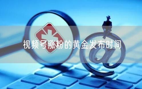 视频号涨粉的黄金发布时间