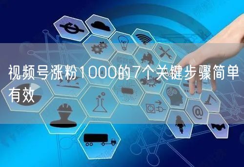 视频号涨粉1000的7个关键步骤简单有效