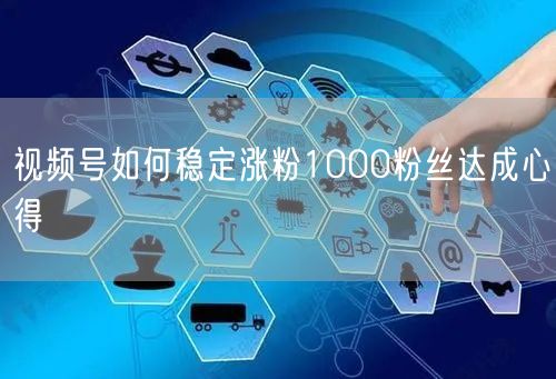 视频号如何稳定涨粉1000粉丝达成心得