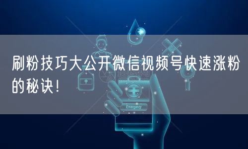 刷粉技巧大公开微信视频号快速涨粉的秘诀！