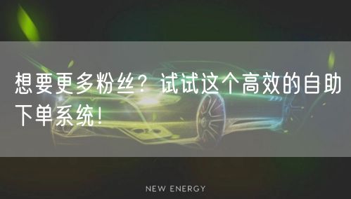 想要更多粉丝?试试这个高效的自助下单系统!